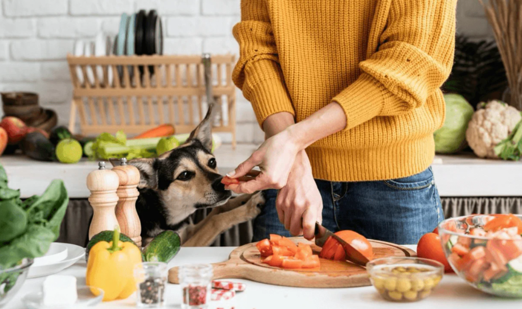 Can Dogs Eat Tomatoes