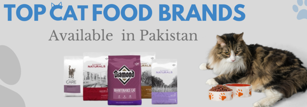 Best Cat Food in Pakistan