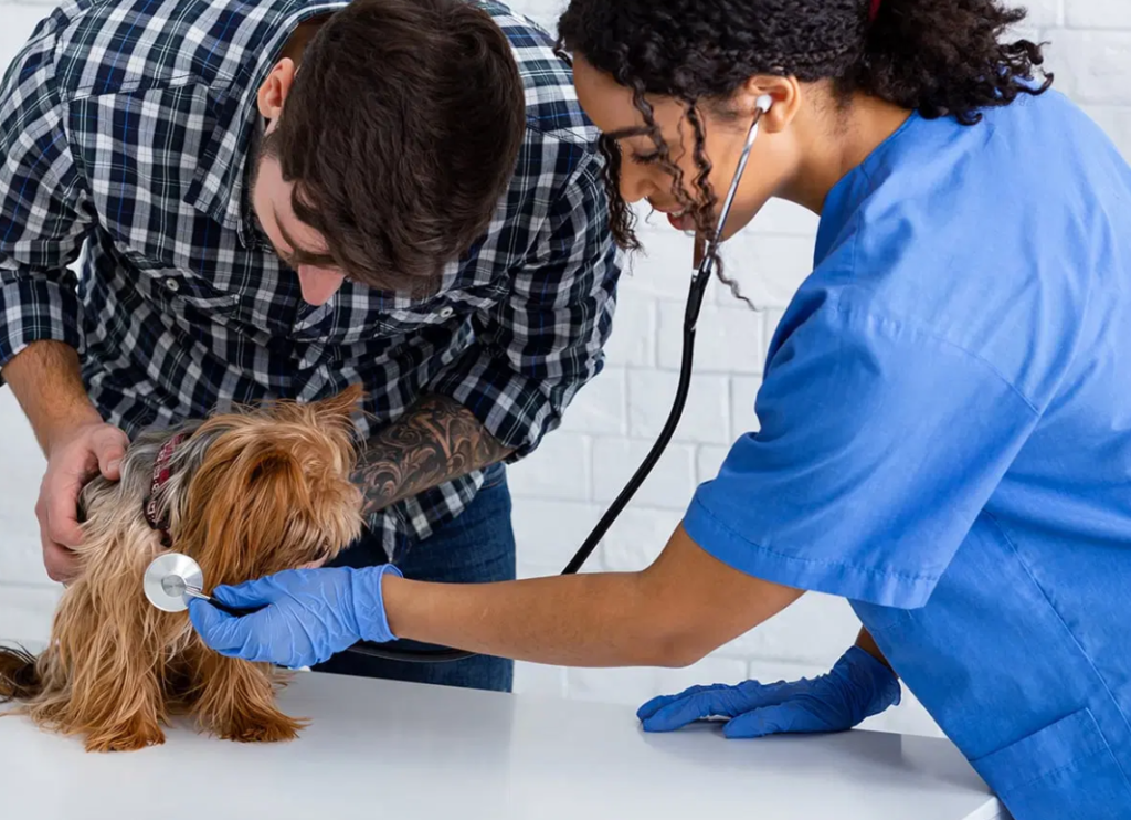 MetLife Pet Insurance