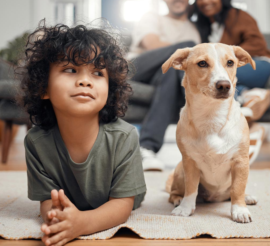 MetLife Pet Insurance