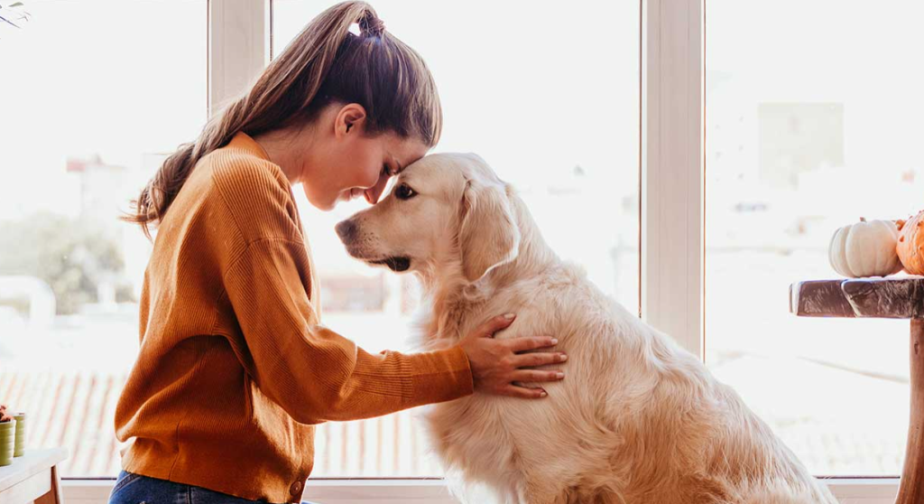 MetLife Pet Insurance