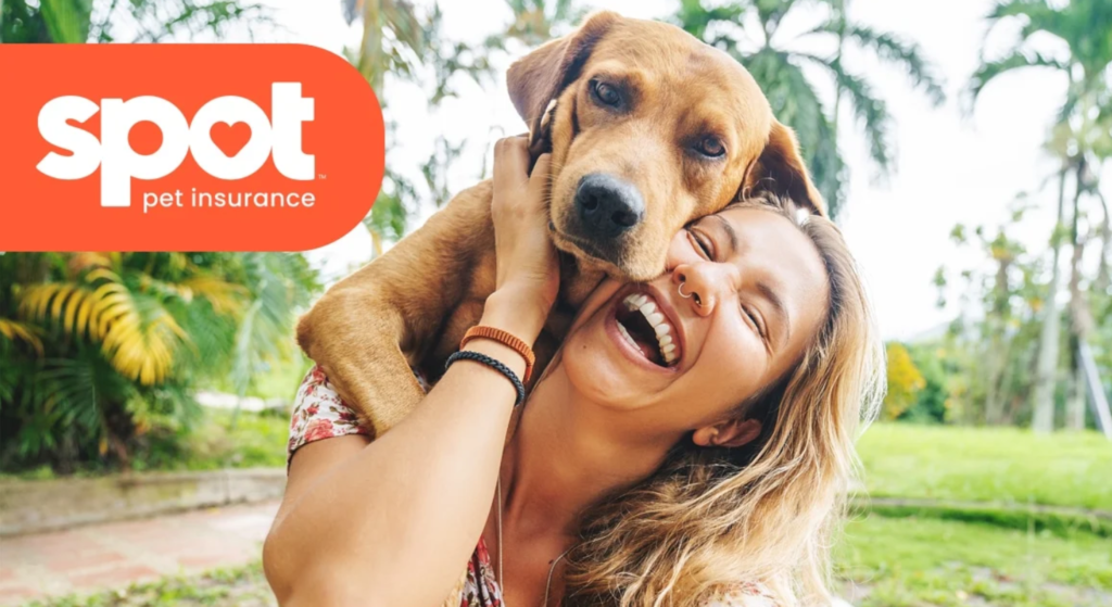 Spot Pet Insurance Reviews and Quotes