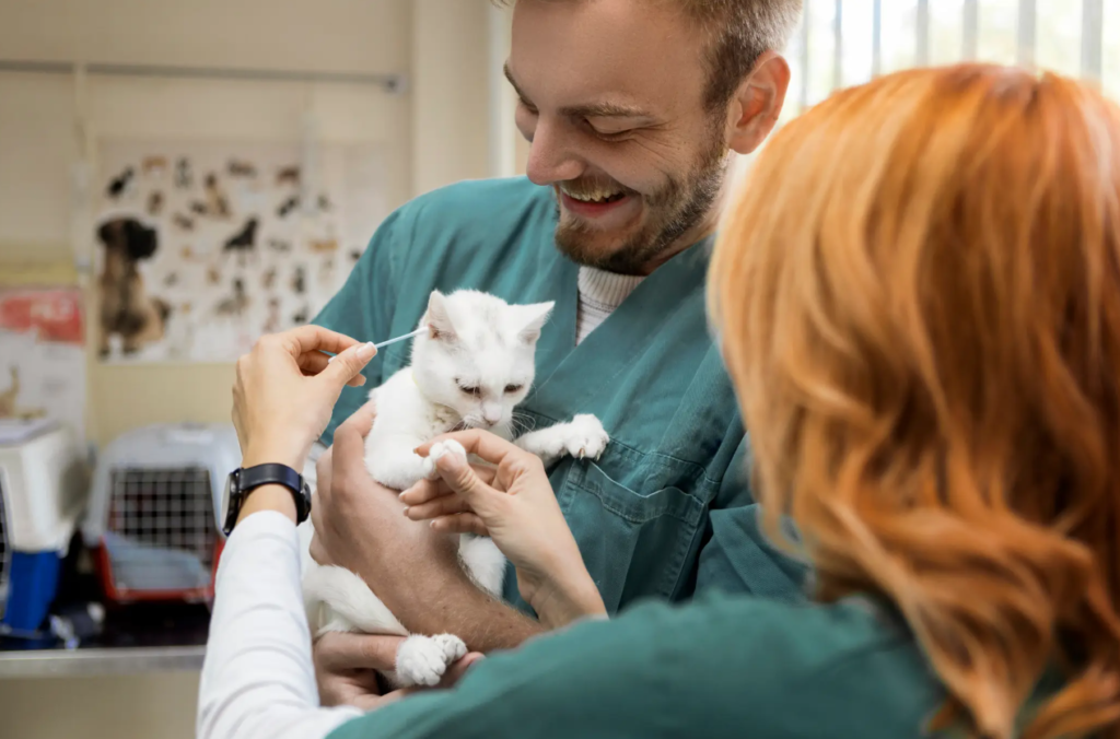 Tesco pet Insurance