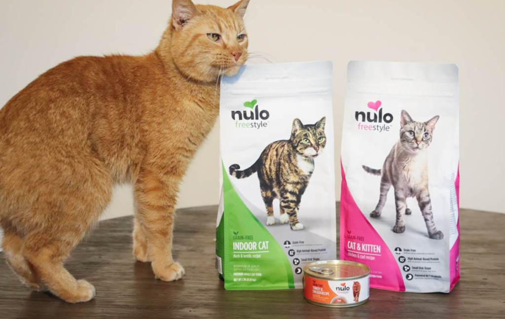 Jelly-Cat-Can-Dogs- Eat-Cat-Food