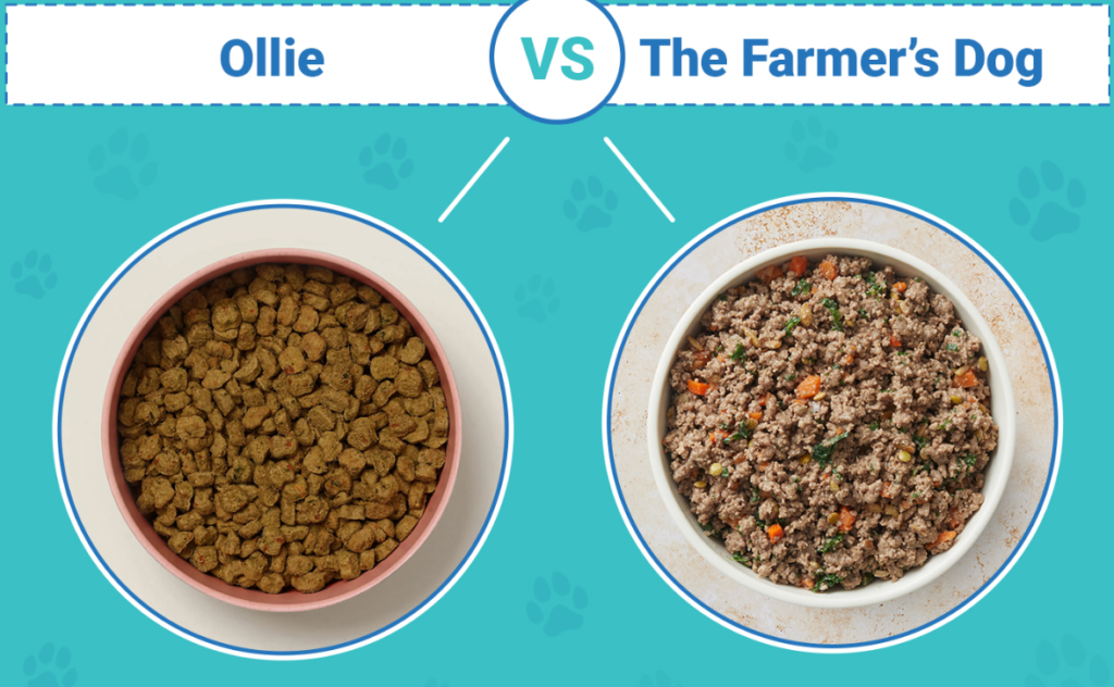 Ollie Pet Food