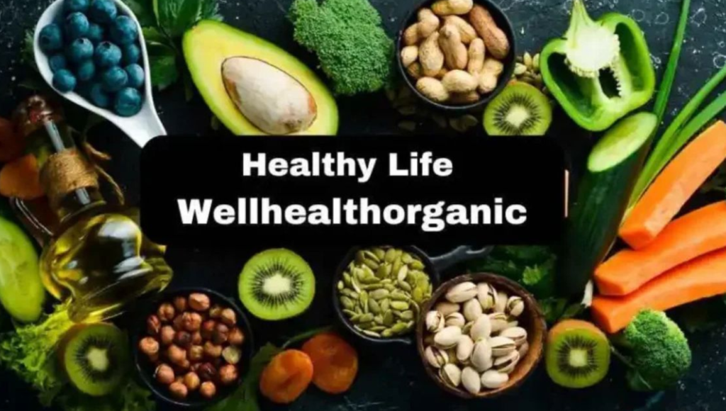 Wellhealthorganic Organic Pet Food Benefits