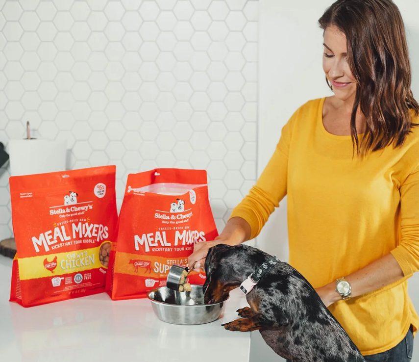 Chewy Dog Food
