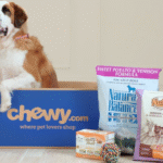 Chewy Dog Food