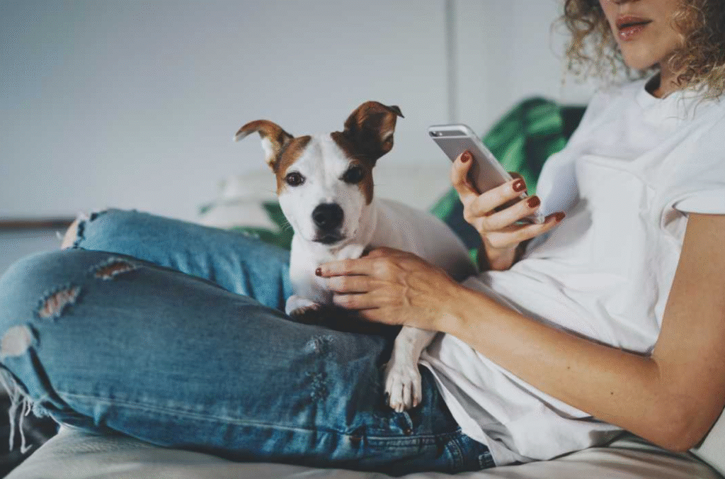 Embrace Pet Insurance