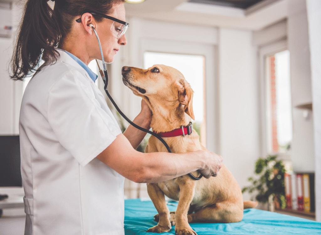 Embrace Pet Insurance