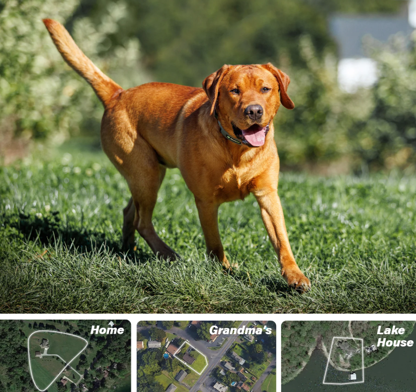 GPS Fence Dog Collar Longest Battery Life 2025
