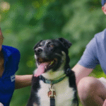 GPS Fence Dog Collar Longest Battery Life 2025